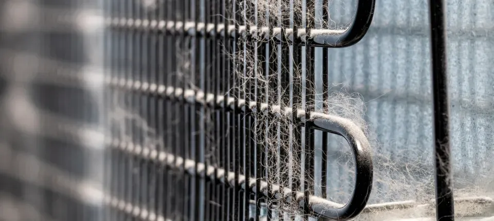 dusty-refrigerator-coils